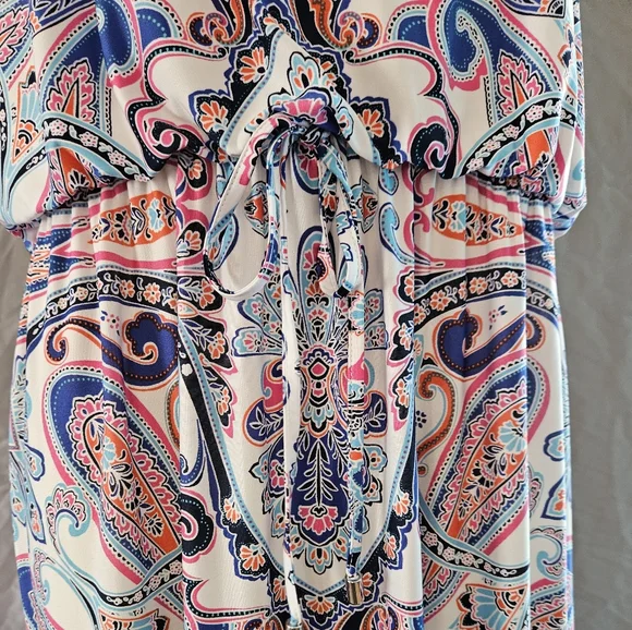 Ruby Rd. Cinched Sleeveless Paisley Dress - Picture 5 of 12